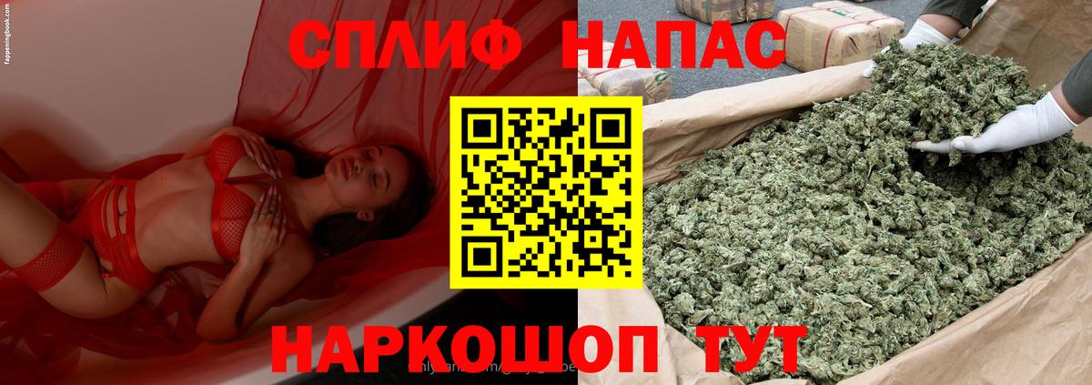 Канабис план Прохладный
